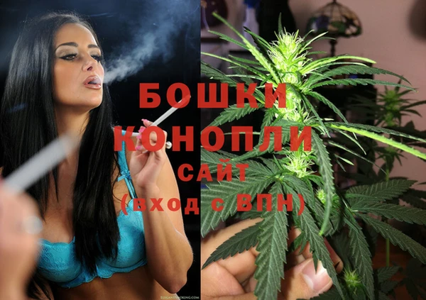 дмт Белокуриха