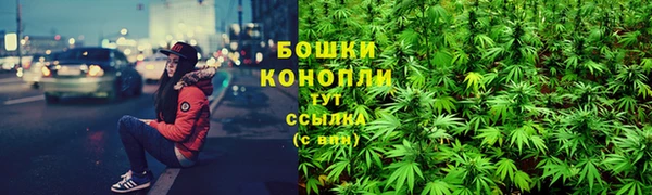 трава Беломорск