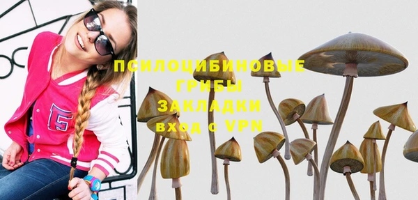 дмт Белокуриха