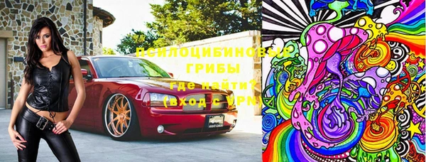 ГАЛЛЮЦИНОГЕННЫЕ ГРИБЫ Пересвет