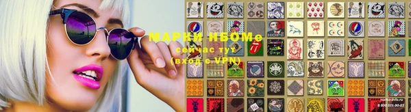 дмт Белокуриха