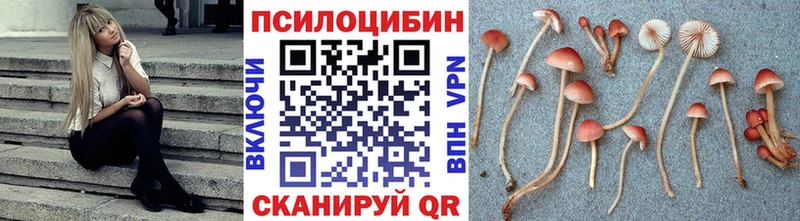 кракен ссылки  Кулебаки  Псилоцибиновые грибы MAGIC MUSHROOMS 